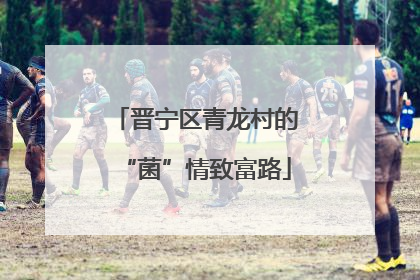 晋宁区青龙村的“菌”情致富路