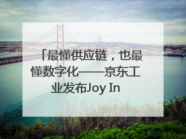 最懂供应链，也最懂数字化——京东工业发布Joy Industrial 重塑工业未来