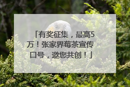 有奖征集，最高5万！张家界莓茶宣传口号，邀您共创！