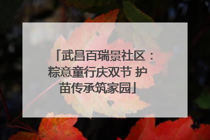 武昌百瑞景社区：粽意童行庆双节 护苗传承筑家园
