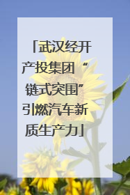 武汉经开产投集团“链式突围”引燃汽车新质生产力