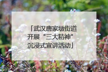 武汉唐家墩街道开展“三大精神”沉浸式宣讲活动