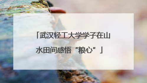 武汉轻工大学学子在山水田间感悟“粮心”