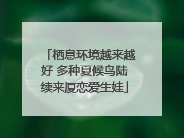 栖息环境越来越好 多种夏候鸟陆续来厦恋爱生娃