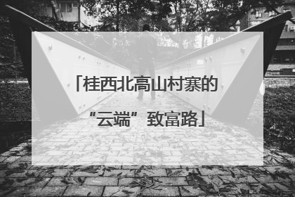 桂西北高山村寨的“云端”致富路
