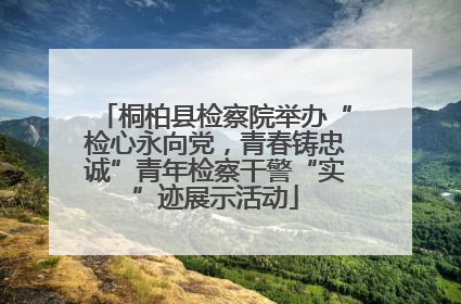 桐柏县检察院举办“检心永向党，青春铸忠诚”青年检察干警“实”迹展示活动
