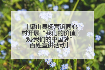 梁山县杨营镇同心村开展“我们的价值观·我们的中国梦”百姓宣讲活动