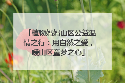 植物妈妈山区公益温情之行：用自然之爱，暖山区童梦之心
