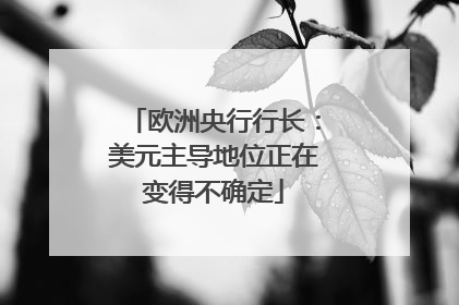 欧洲央行行长：美元主导地位正在变得不确定