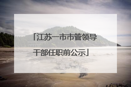 江苏一市市管领导干部任职前公示