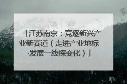 江苏南京：竞逐新兴产业新赛道（走进产业地标·发展一线探变化）