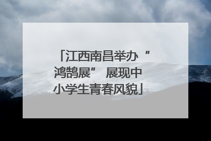 江西南昌举办“鸿鹄展” 展现中小学生青春风貌