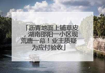 沥青地面上铺草皮，湖南邵阳一小区现荒唐一幕！业主质疑为应付验收