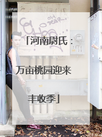 河南尉氏：万亩桃园迎来丰收季