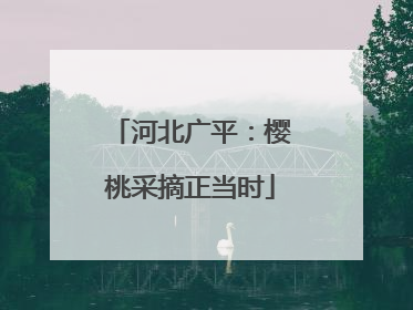 河北广平：樱桃采摘正当时