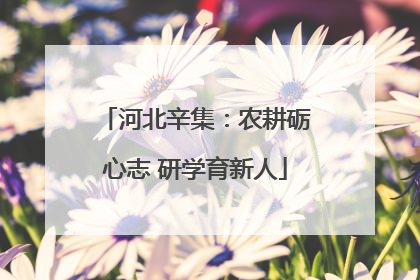 河北辛集：农耕砺心志 研学育新人