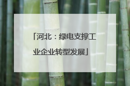 河北：绿电支撑工业企业转型发展