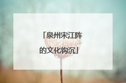 泉州宋江阵的文化钩沉