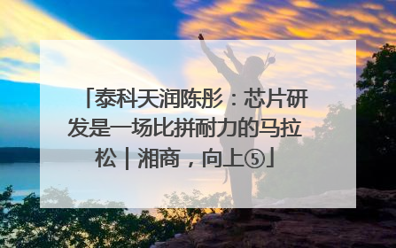 泰科天润陈彤：芯片研发是一场比拼耐力的马拉松｜湘商，向上⑤