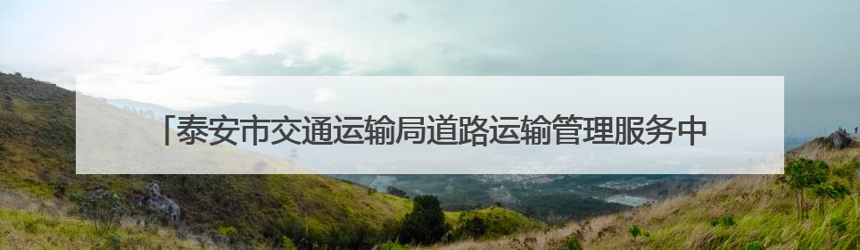 泰安市交通运输局道路运输管理服务中心开展2025年安全生产应急演练