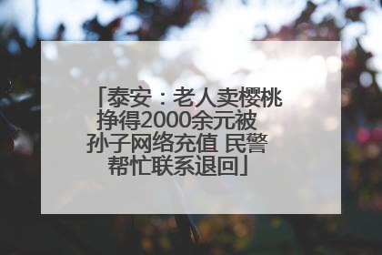 泰安：老人卖樱桃挣得2000余元被孙子网络充值 民警帮忙联系退回