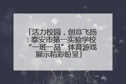 活力校园，创意飞扬：泰安市第一实验学校“一班一品”体育游戏展示精彩纷呈