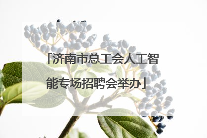 济南市总工会人工智能专场招聘会举办
