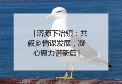 济源下冶镇：共叙乡情谋发展，凝心聚力谱新篇