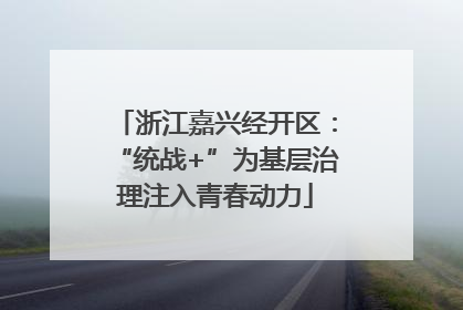 浙江嘉兴经开区：“统战+”为基层治理注入青春动力
