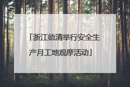 浙江德清举行安全生产月工地观摩活动