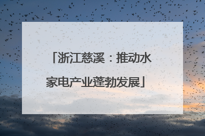 浙江慈溪：推动水家电产业蓬勃发展