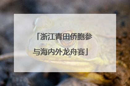 浙江青田侨胞参与海内外龙舟赛