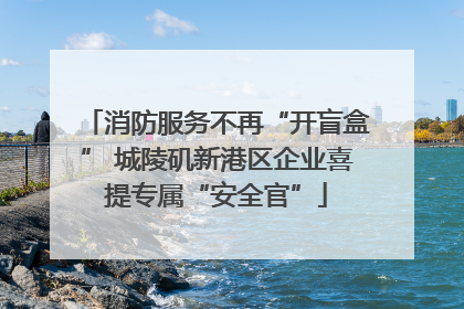 消防服务不再“开盲盒” 城陵矶新港区企业喜提专属“安全官”