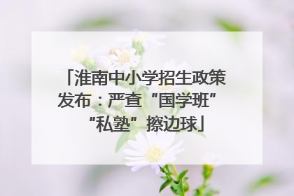 淮南中小学招生政策发布：严查“国学班”“私塾”擦边球