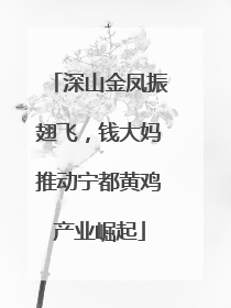 深山金凤振翅飞，钱大妈推动宁都黄鸡产业崛起