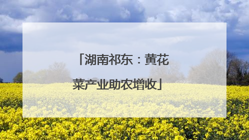 湖南祁东：黄花菜产业助农增收