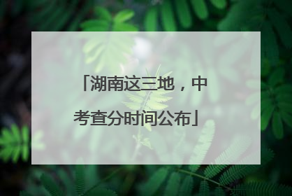 湖南这三地，中考查分时间公布