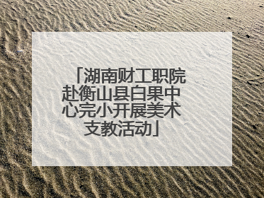 湖南财工职院赴衡山县白果中心完小开展美术支教活动
