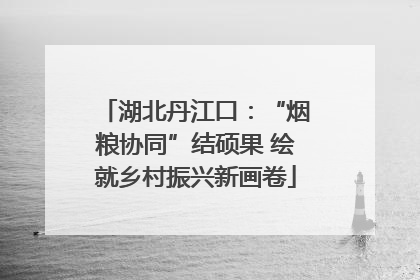 湖北丹江口：“烟粮协同”结硕果 绘就乡村振兴新画卷