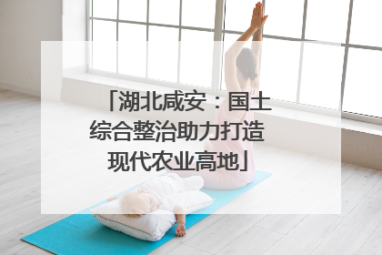湖北咸安：国土综合整治助力打造现代农业高地