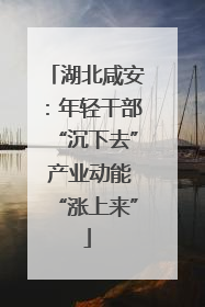 湖北咸安：年轻干部“沉下去” 产业动能“涨上来”