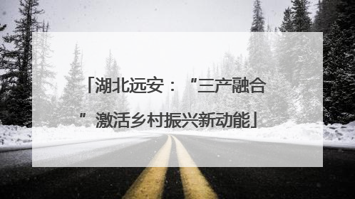 湖北远安：“三产融合”激活乡村振兴新动能