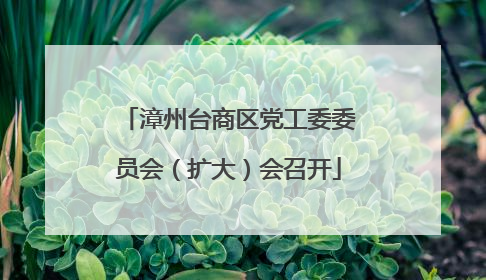 漳州台商区党工委委员会（扩大）会召开