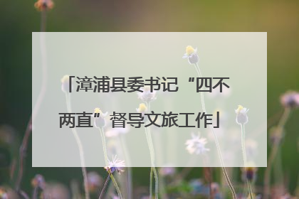 漳浦县委书记“四不两直”督导文旅工作