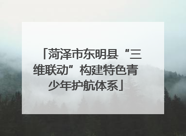 菏泽市东明县“三维联动”构建特色青少年护航体系