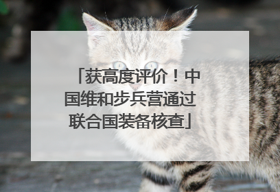 获高度评价！中国维和步兵营通过联合国装备核查