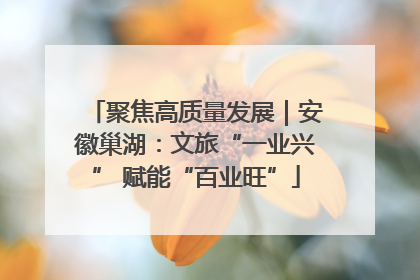 聚焦高质量发展｜安徽巢湖：文旅“一业兴” 赋能“百业旺”