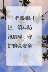 肥城桃园镇：筑牢防汛屏障，守护群众安全