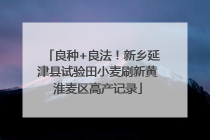 良种+良法！新乡延津县试验田小麦刷新黄淮麦区高产记录