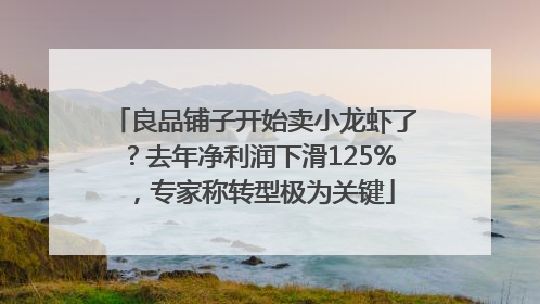 良品铺子开始卖小龙虾了？去年净利润下滑125%，专家称转型极为关键